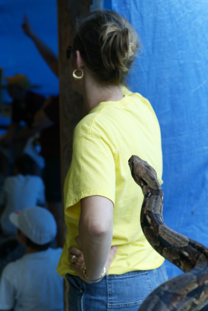 When Friends Turn Against You Relevant Bible Lessons